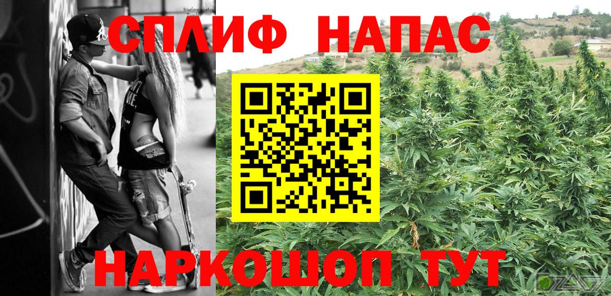 Конопля SATIVA & INDICA Майкоп